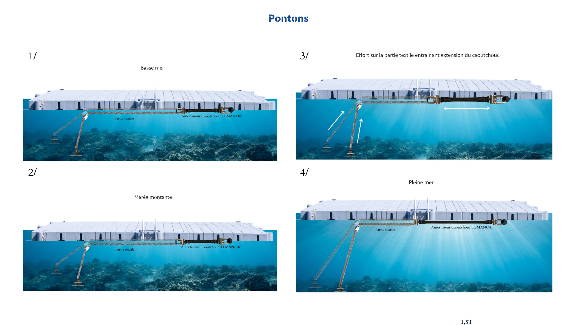 Projets Temano Mouillage Cologique